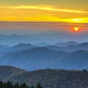 Meet your Posher, Cody